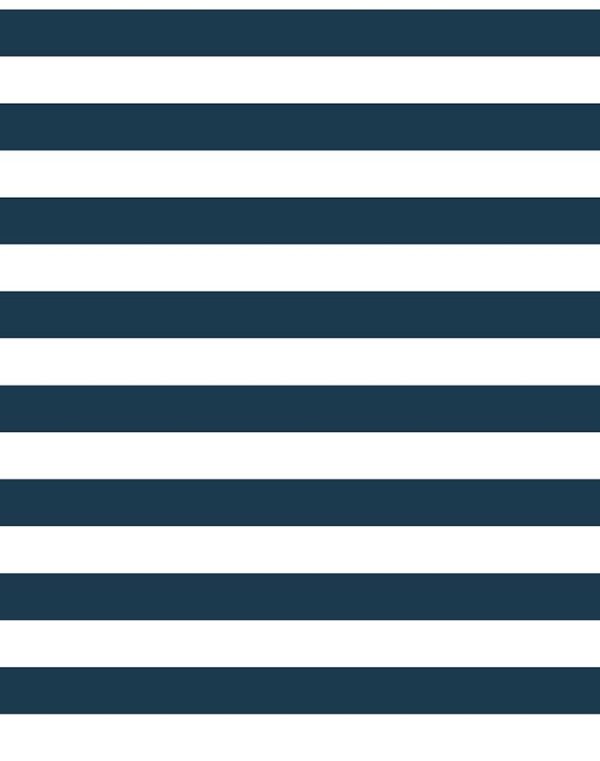 Cabana Stripe  Wallpaper by Sugar Paper - Navy For Discount