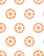 Sun Dial  Wallpaper by Tea Collection - Creamsicle Online now