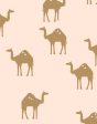 Oasis Camels  Wallpaper by Tea Collection - Peach Hot on Sale