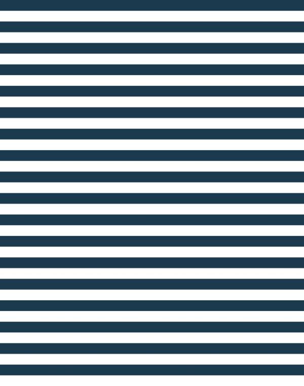 Cabana Stripe  Wallpaper by Sugar Paper - Navy For Discount