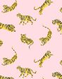 Tigers  Wallpaper by Tea Collection - Ballet Slipper on Sale