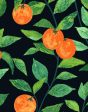 Orange Crush  Wallpaper by Nathan Turner - Onyx Online Hot Sale