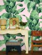 Pacifico Palm  Wallpaper by Nathan Turner - Pink Online Hot Sale