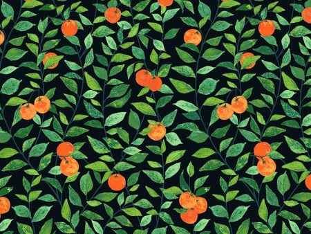 Orange Crush  Wallpaper by Nathan Turner - Onyx Online Hot Sale