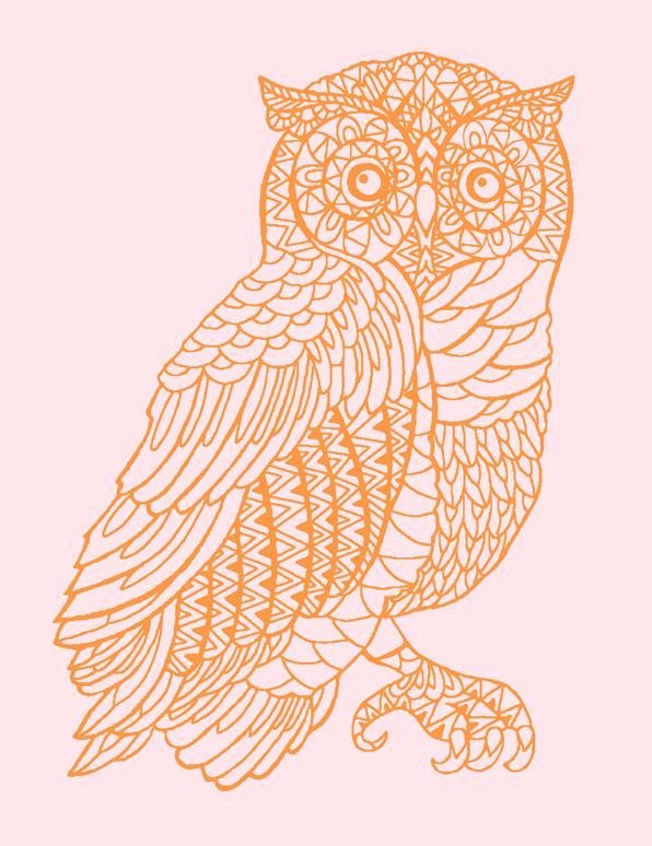 Otus the Owl  Wallpaper by Wallshoppe - Piggybank   Pushpop Supply