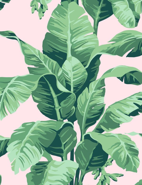 Pacifico Palm  Wallpaper by Nathan Turner - Pink Online Hot Sale