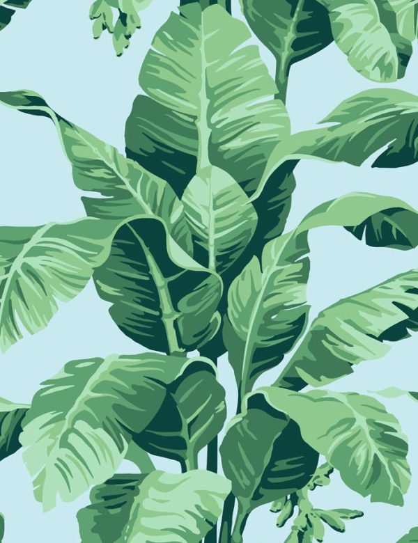 Pacifico Palm  Wallpaper by Nathan Turner - Sky Blue Online Hot Sale