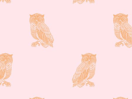 Otus the Owl  Wallpaper by Wallshoppe - Piggybank   Pushpop Supply