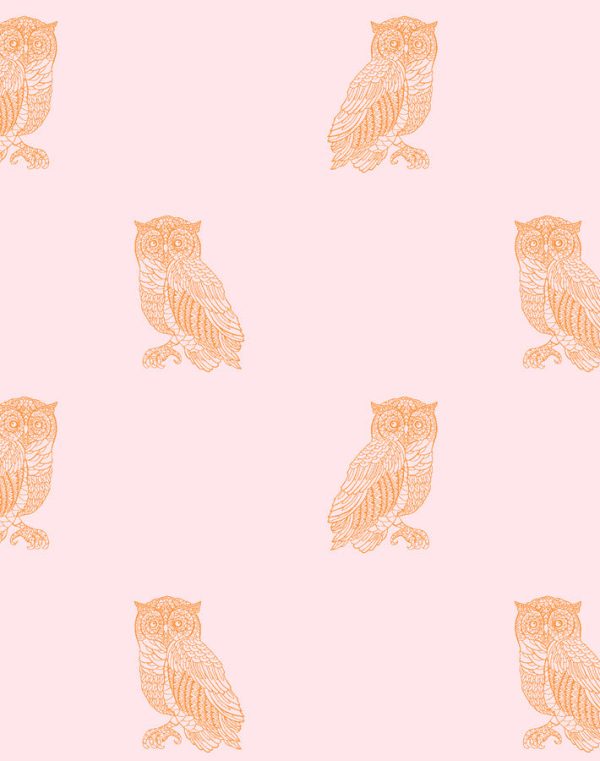 Otus the Owl  Wallpaper by Wallshoppe - Piggybank   Pushpop Supply