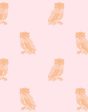 Otus the Owl  Wallpaper by Wallshoppe - Piggybank   Pushpop Supply