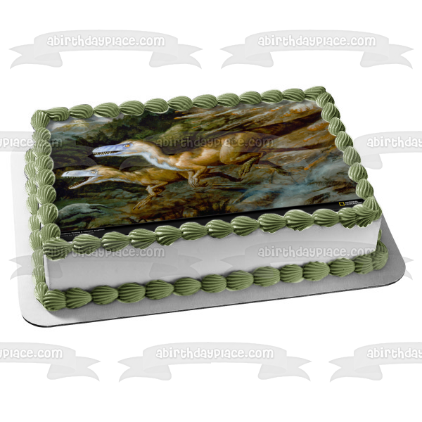 Dinosaurs Roaming Tyrannosaurus Rex Edible Cake Topper Image ABPID08309 Hot on Sale