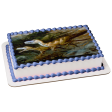 Dinosaurs Roaming Tyrannosaurus Rex Edible Cake Topper Image ABPID08309 Hot on Sale