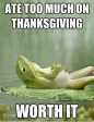 Happy Thanksgiving Meme Frog  Ate Too Much on Thanksgiving... Worth It  Edible Cake Topper Image ABPID52899 For Sale