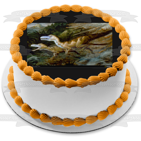 Dinosaurs Roaming Tyrannosaurus Rex Edible Cake Topper Image ABPID08309 Hot on Sale